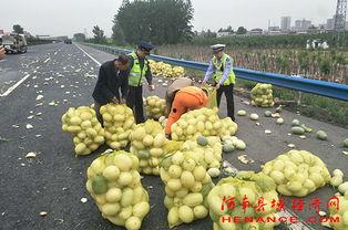 山寨吃瓜群众网红,背后的故事与争议  第2张