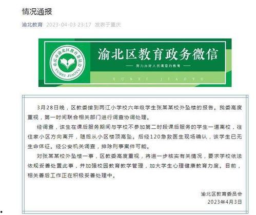 重庆小学爆料案件最新情况,真相逐步浮出水面 第2张 重庆小学爆料案件最新情况,真相逐步浮出水面 第2张