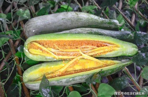 七夕网红吃瓜视频,甜蜜背后隐藏的瓜界风云 第1张 七夕网红吃瓜视频,甜蜜背后隐藏的瓜界风云 第1张