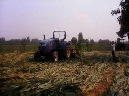 民间土地爆料视频,真实事件背后的土地争议与维权之路  第2张